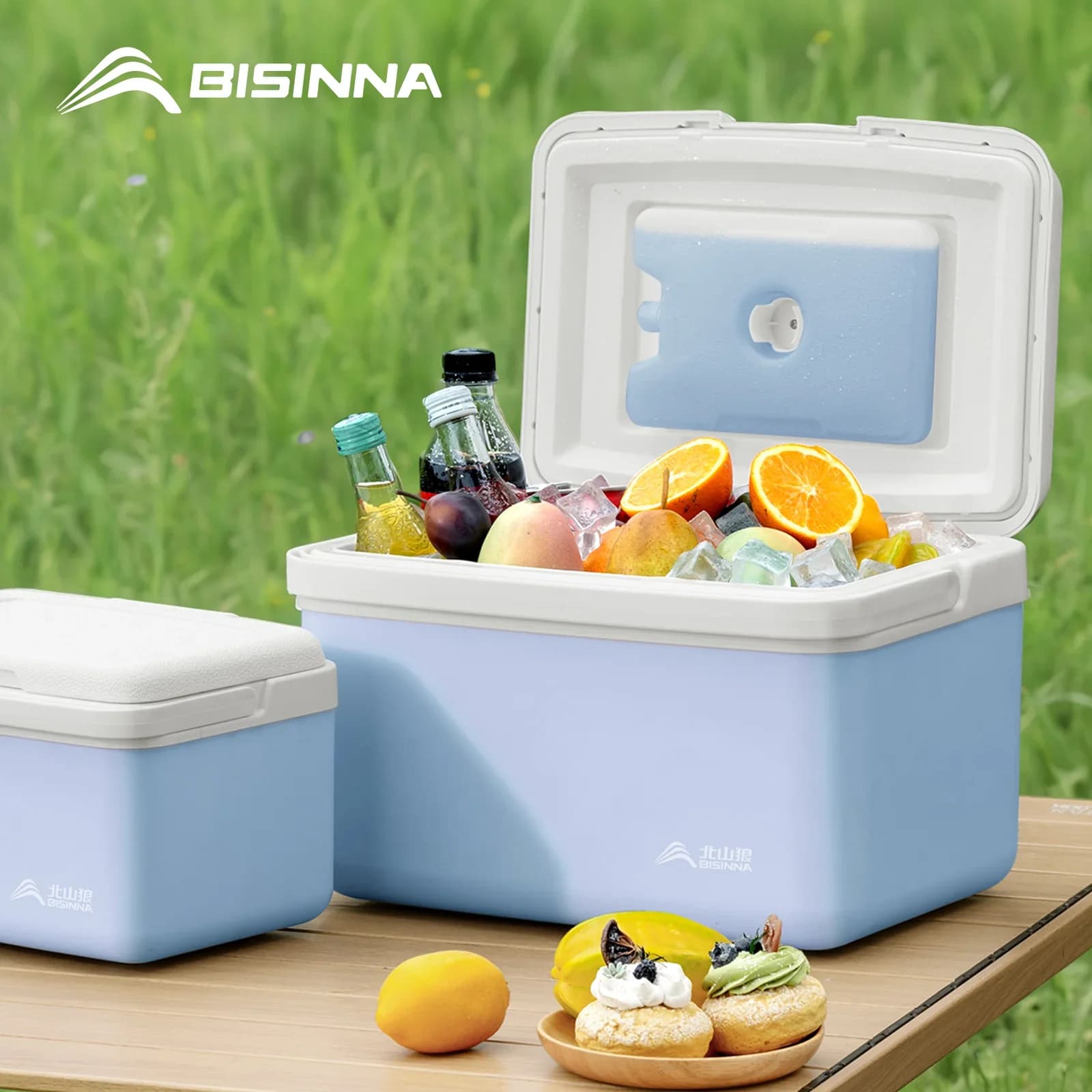 Изотермический контейнер BISINNA 6L/9L/15L, портативный термобокс для кемпинга, авто, пляжа и рыбалки